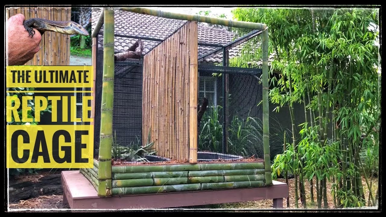 huge reptile enclosure