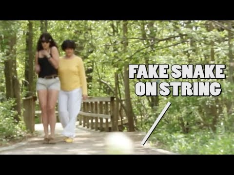 fake-snake-prank