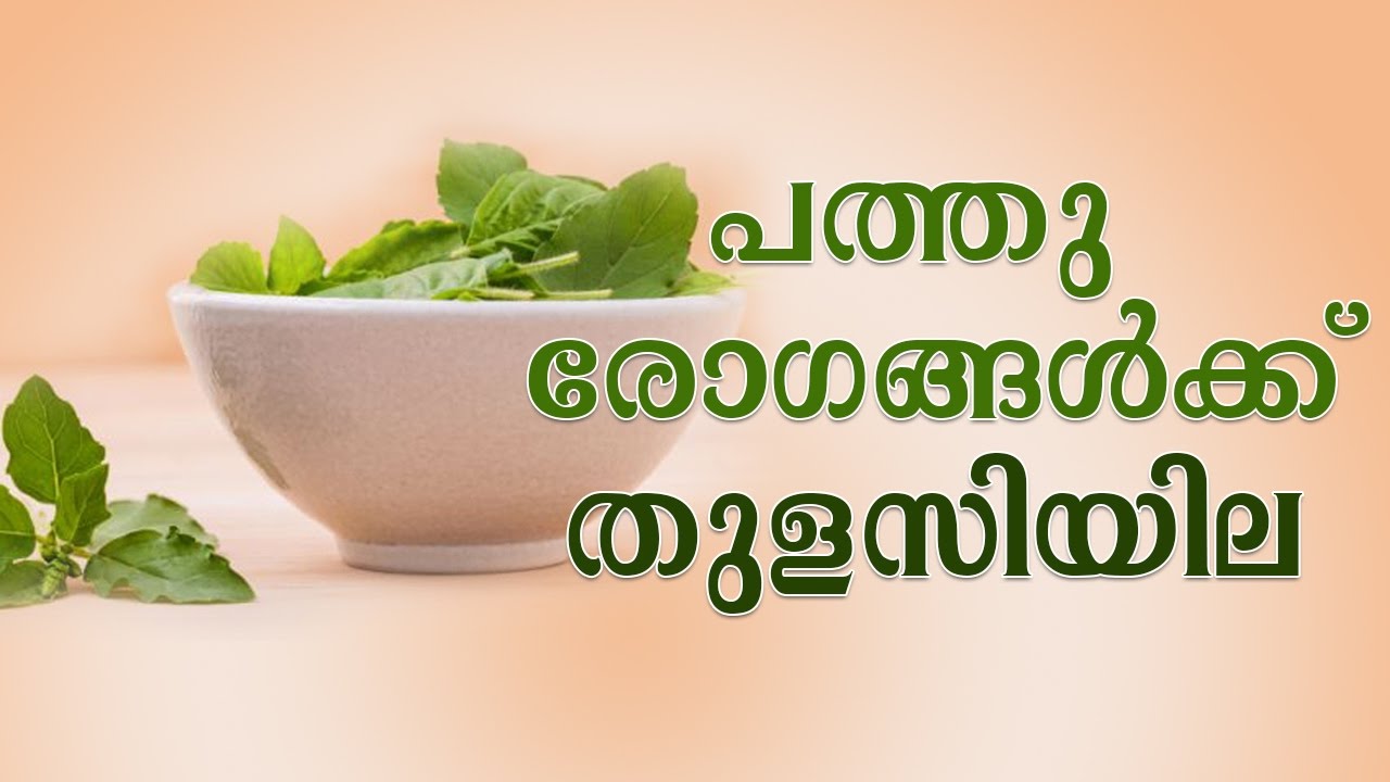 പത്തു രോഗങ്ങൾക് തുളസിയില | Top Benefits Of Tulsi | Best Health And Beauty Tips | Lifestyle