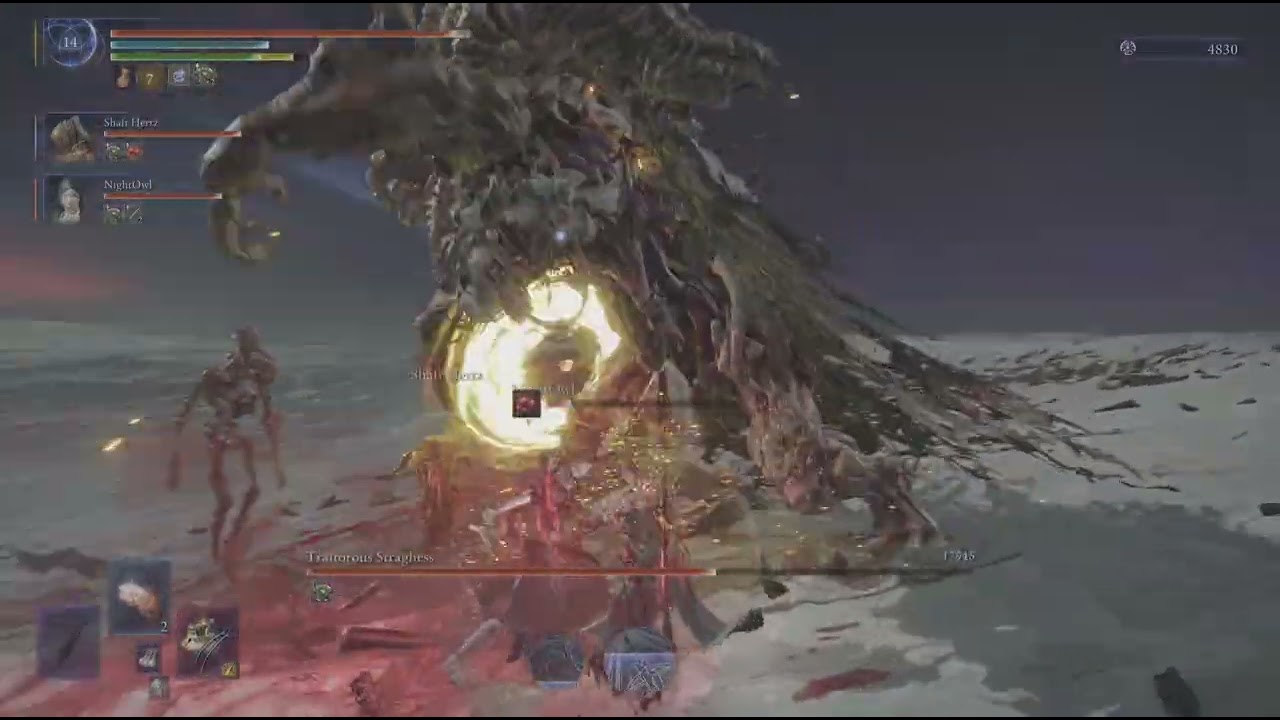 ELDEN RING NIGHTREIGN: Shaft Hertz and NightOwl