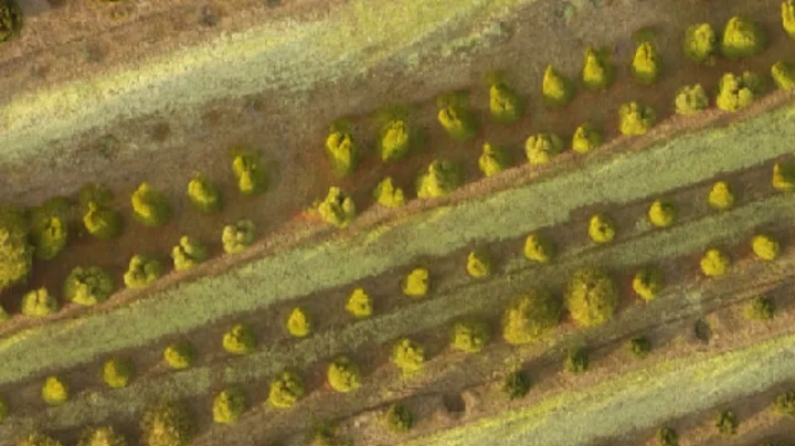 DroneDeploy in the nursery