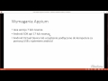Appium - Wprowadzenie do Automatyzacji Testów Mobilnych