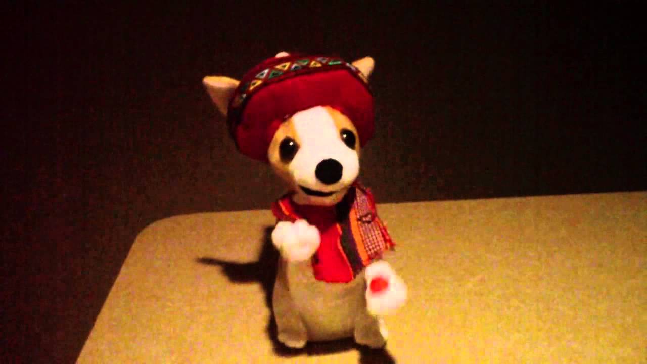 Christmas Chihuahua sings Donde Esta Santa Claus - YouTube