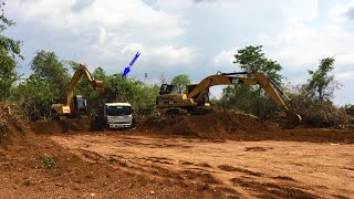 Full Project Clearing Land And Fores Tree With DumpTruck & Excavator