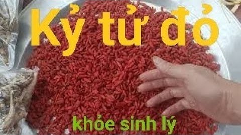 Kỉ tử, đẳng sâm rừng Tây Bắc - ngọt, thơm, bổ, rẻ! Sđt Zalo 0388984410