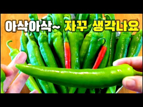 장마철에 고추 보이면 무조건 사서 이렇게 하세요! 이거 알면 평생 써먹습니다👍여름 반찬으로 최고💯혼자 알기 아까운 고추레시피