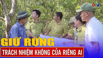 Giữ rừng trách nhiệm không của riêng ai | Quản lý bảo vệ rừng 19-3-2025 | Điện Biên TV