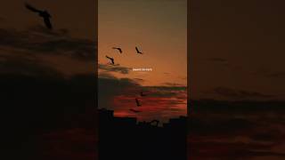 Apna Bana Le Piya Aesthetic Lyrics Status