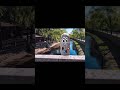 奏でるふみきり　#fumikiri #railroadcrossing #asmr #train #levelcrossing #sounds #踏切　#shorts