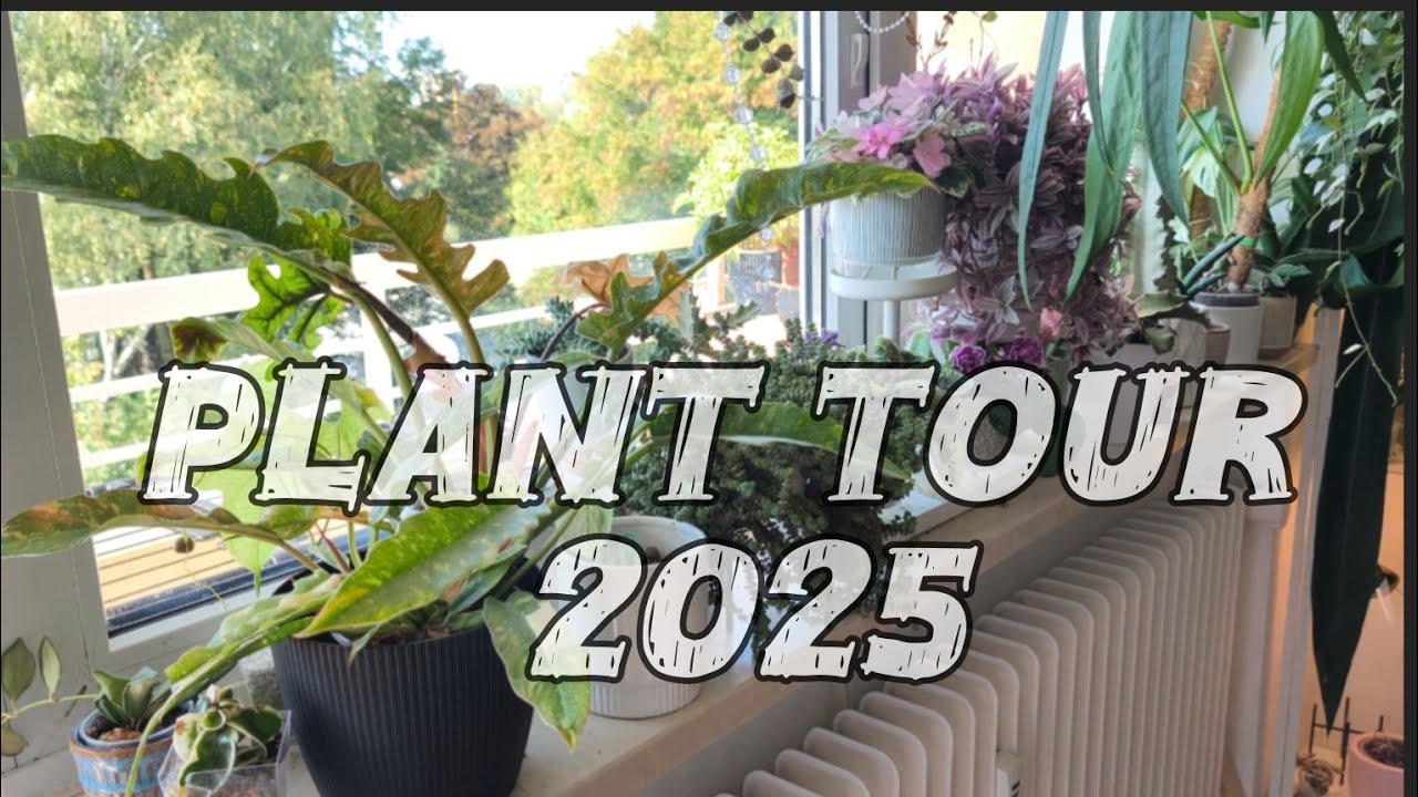 PLANT TOUR2025🍂🍁PART.1
