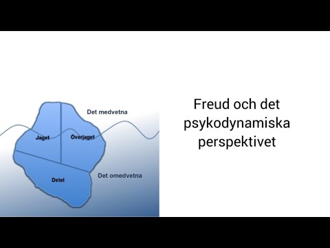 Freud och det psykodynamiska perspektivet