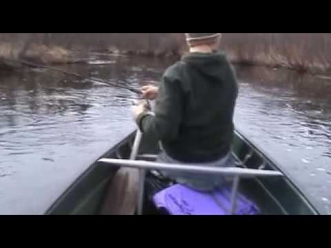 Fishing The Whitefish River 2010 - YouTube