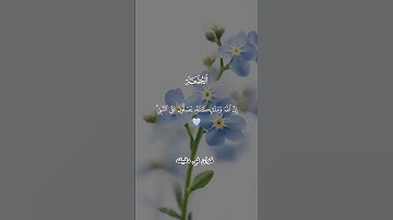 قران كريم ارح قلبك وسمعك #احمد_العجمي #quran #المصحف #قران #قران_في_دقيقة @قران_في_دقيقه