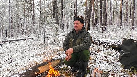 Поиск пропавших собак. Охота на глухаря с лайками.