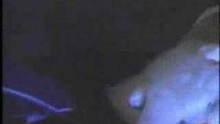 George's Appliance Fly-Cam 1