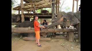 Клип Лучшие моменты моего отдыха в Паттайе в Таиланде