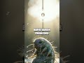 The Tiny Titans of Survival