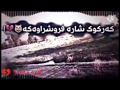 وارن وسف