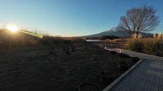 4K】Sunrise and Mt. Fuji / Oishi Park, Lake Kawaguchi (filmed on