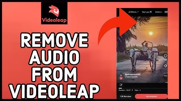 How to Remove Audio from Video on Videoleap App 2023?