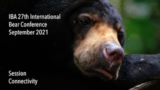 IBA 27th International Bear Conference - Connectivity (live session) screenshot 1