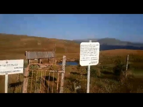 82 წლის აფრი აფრიამაშვილმა არლის მთაში დასასვენებელი ადგილი მოაწყო