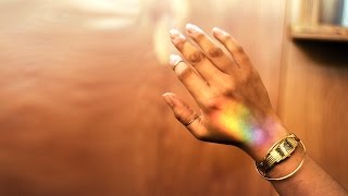 Celebrity Camping with Friends Net Worth