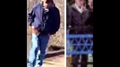 The Delphi Murders; Hiding In Plain Sight