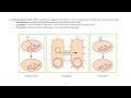 Horizontal gene transfer hgt