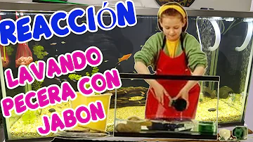 ¿Se puede limpiar una pecera con jabón de fregar?