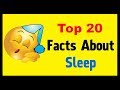 Sleep  facts