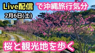 Live配信2月6日(土) で沖縄旅行気分！桜と観光地を歩く【高画質720P60FPS】