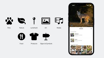 WWDC23: What’s new in VisionKit | Apple