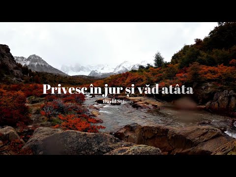 David Stănuș |