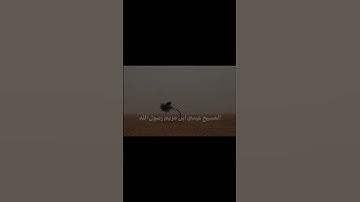 قران كريم استغفر الله العظيم وأتوب إليه اللهم صل على نبينا محمد#راحه_نفسيه 🤍