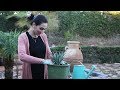 Ինչպես Տնկել Արքայախնձորը - How to Plant a Pineapple Top - Mayrik by Heghineh