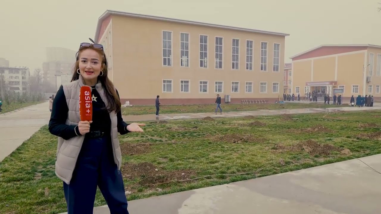 В Душанбе высадили фруктовый сад на школьном дворе с помощью JICA