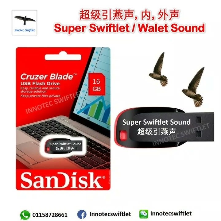 Super Swiftlet Calling Sound