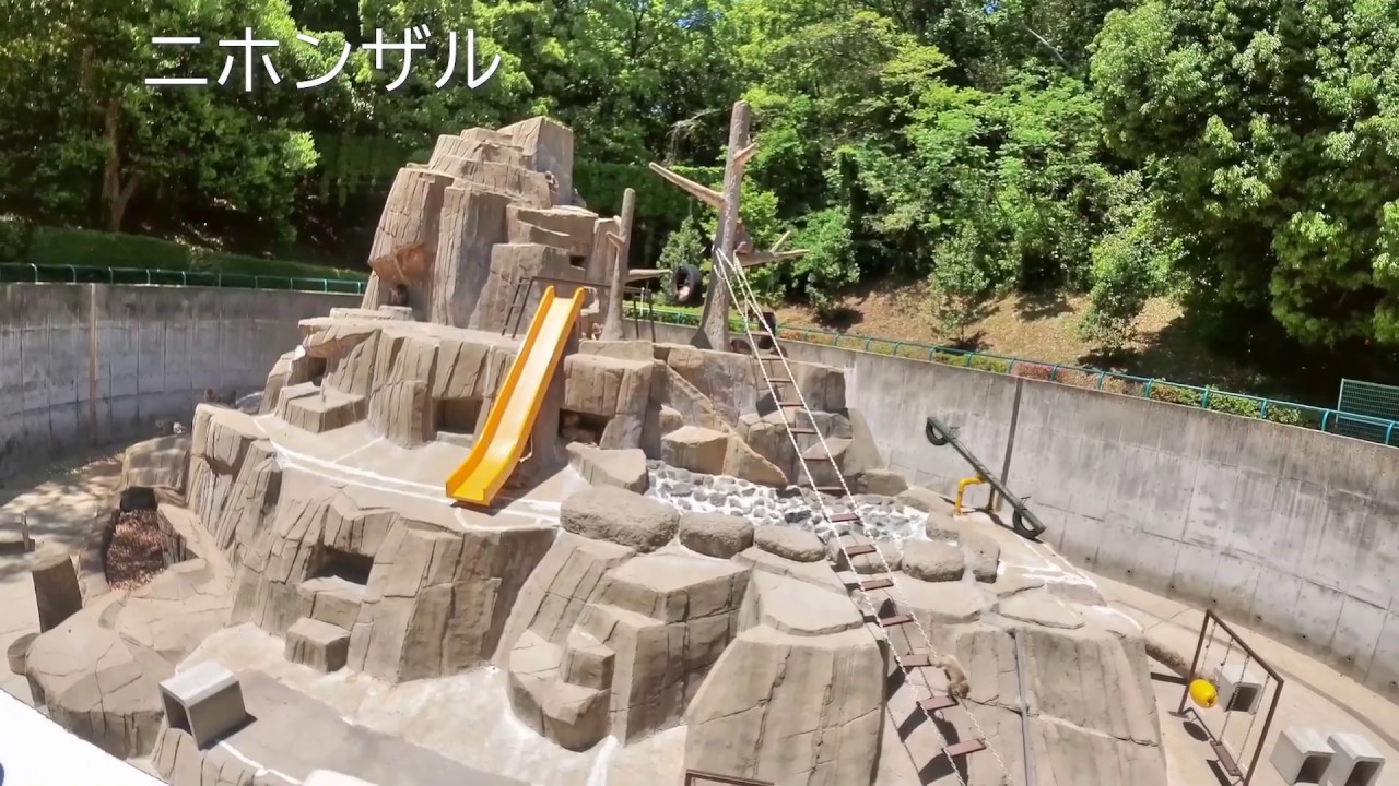福岡市動物園：お出かけない。。。。動物園本編のみ