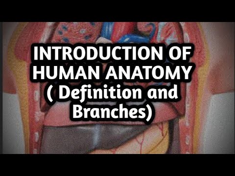 Introduction To Human