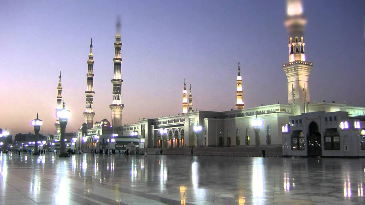 الوقاية من الفتور في طلب العلم -  الشيخ الشنقيطي