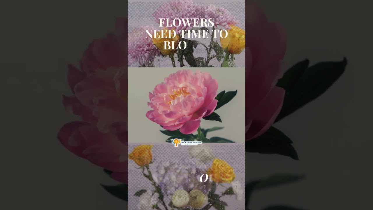 I often remind people that growth is not meant to be rushed. Flowers need time to bloom, and so do y