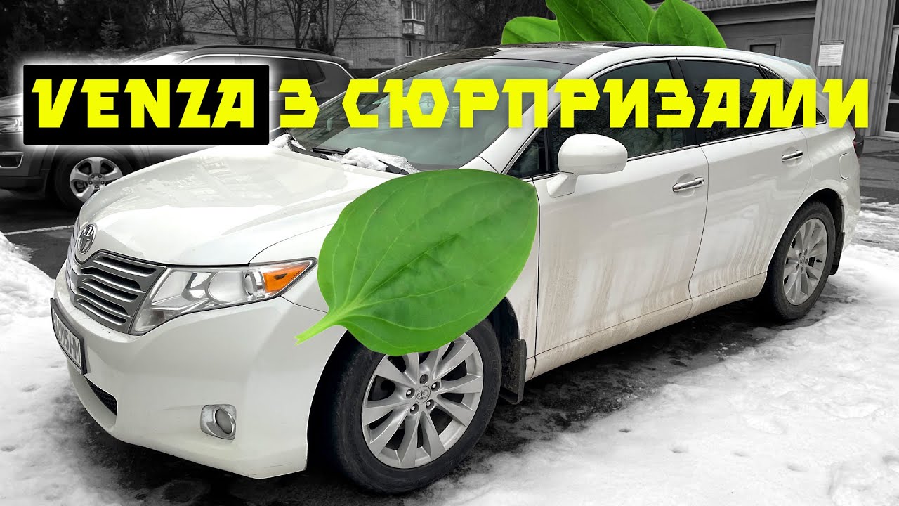 Розгадуємо секрети TOYOTA VENZA разом 🤔 - YouTube