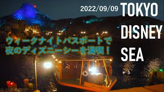 ウィークナイトパスポートを使って ディズニーシーを満喫してみた Youtube