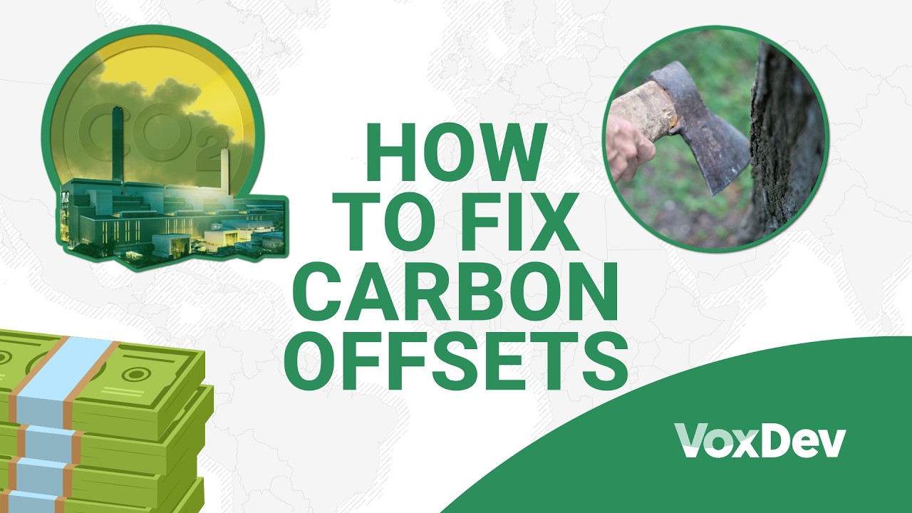 Система компенсации выбросов углерода неэффективна. У экономистов есть решение.