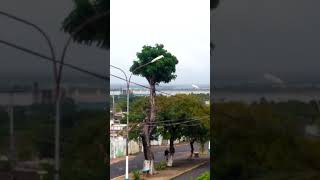 Desde mi balcón la mañana del sábado 18/01/2020