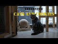 Interview chez cats and cookies