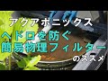 ヘドロを防ぐ！簡易物理フィルターのススメ【アクアポニックス】/Prevent sludge! Simple physical filter recommendation [Aquaponics]