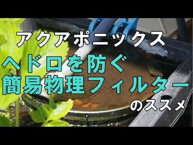 ヘドロを防ぐ 簡易物理フィルターのススメ アクアポニックス Prevent Sludge Simple Physical Filter Recommendation Aquaponics Youtube