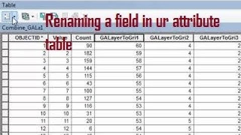 Renaming a field in ur attribute table, a simple trick